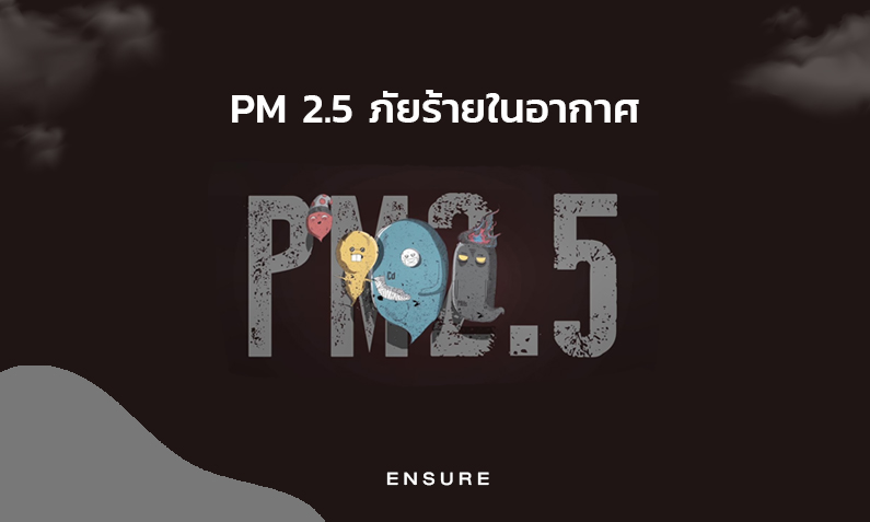 PM 2.5 ภัยร้ายในอากาศ